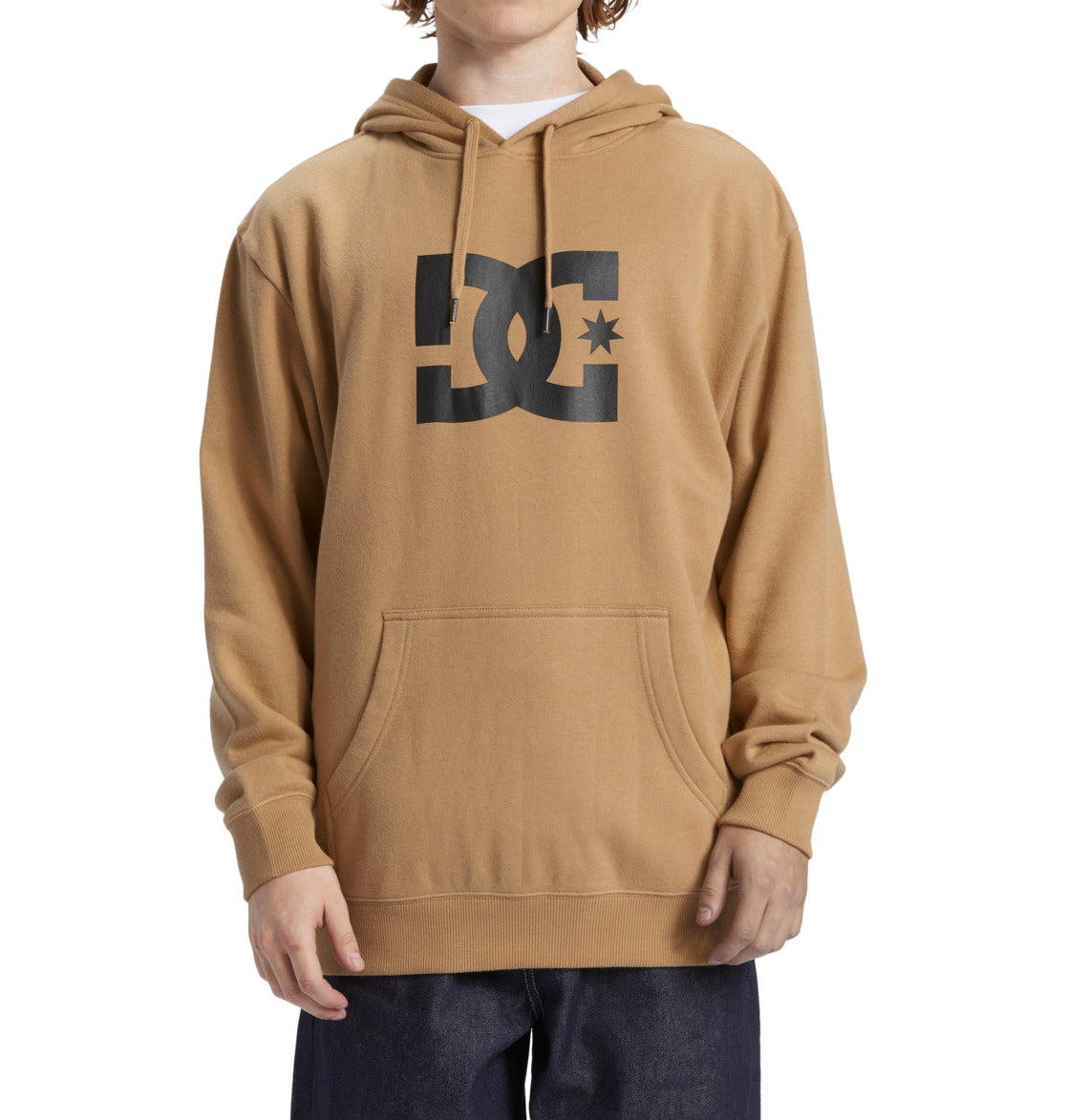 Mens DC Star Hoodie - DC Shoes Singapore