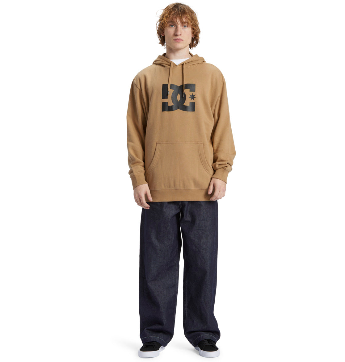 Mens DC Star Hoodie - DC Shoes Singapore